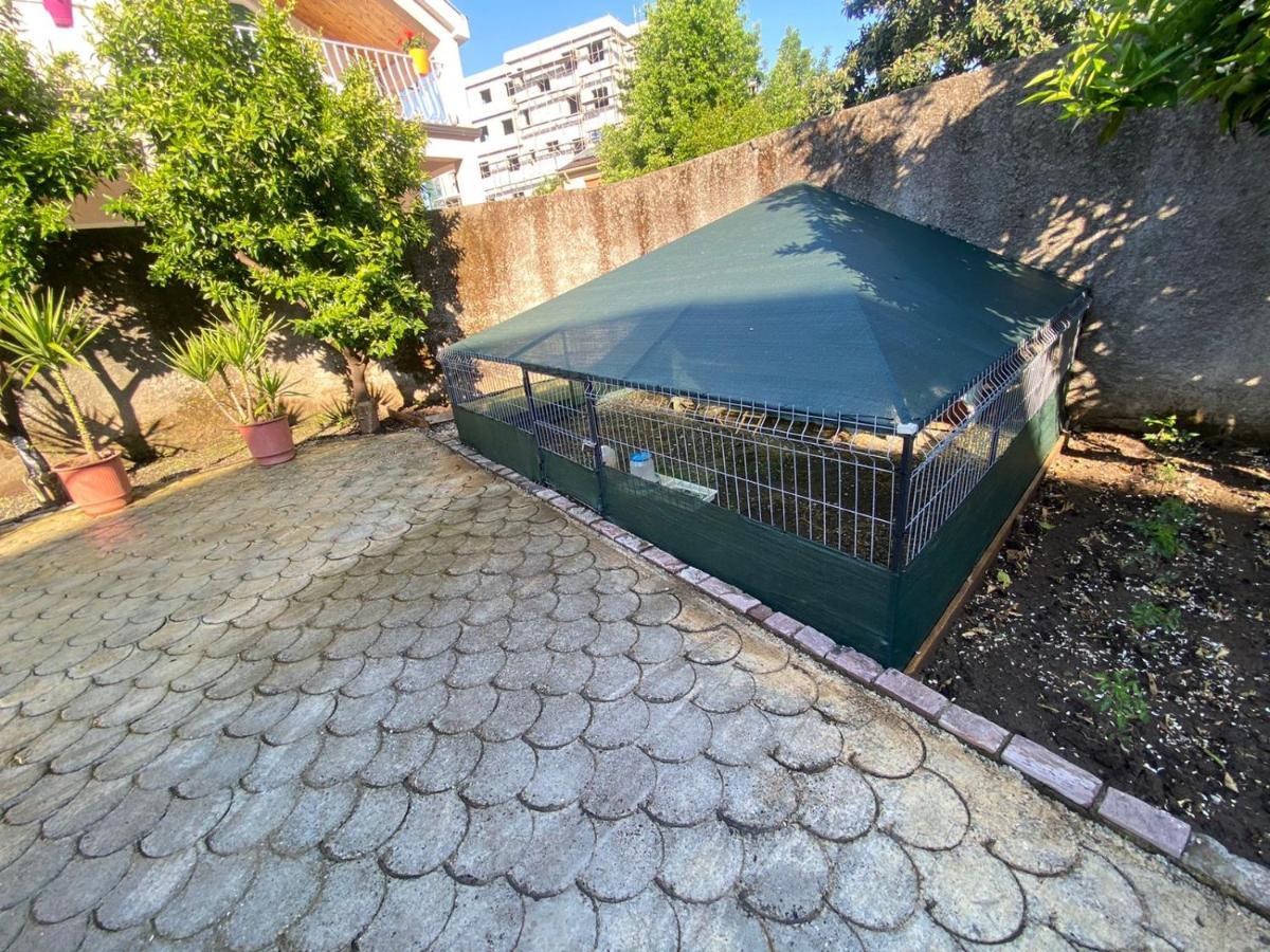 Gather Inn Guest House Shkodër Екстериор снимка