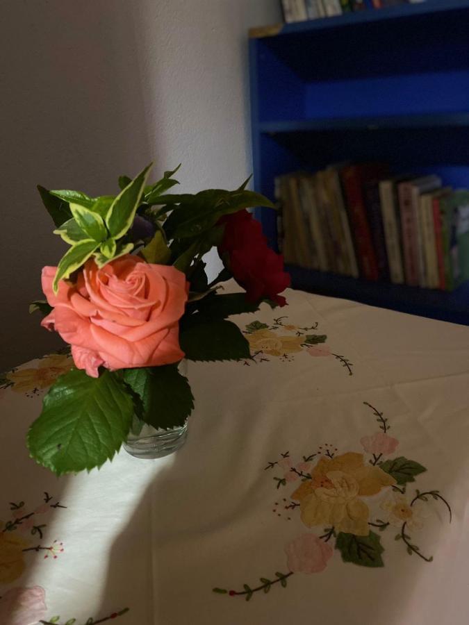 Gather Inn Guest House Shkodër Екстериор снимка