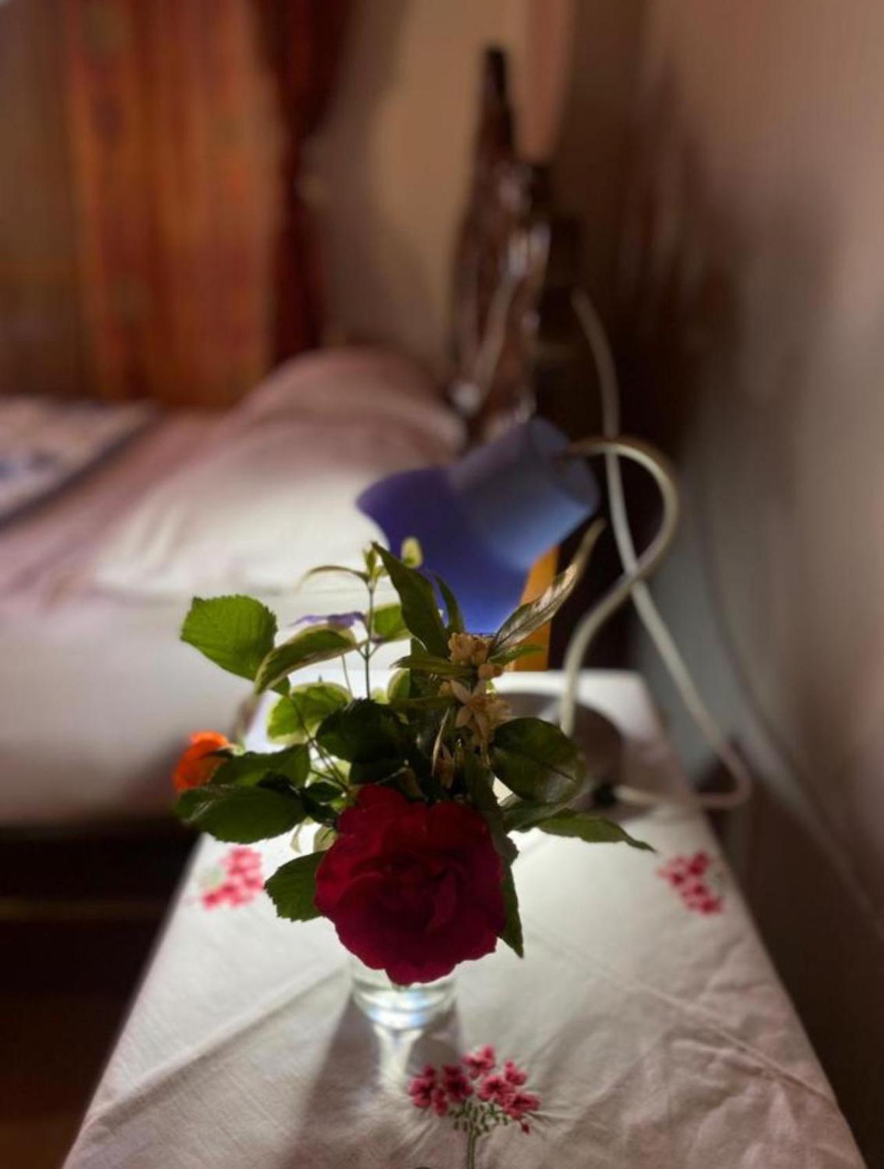 Gather Inn Guest House Shkodër Екстериор снимка